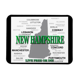 New Hampshire State Magnet