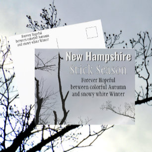 New Hampshire Stick Season New England Photo Postcard