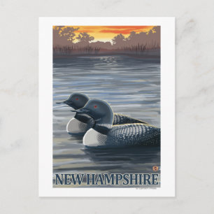 New HampshireCommon Loon Postcard