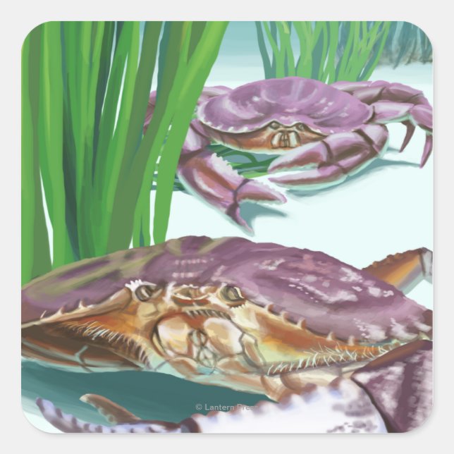 New HampshireCrab and Fisherman Square Sticker (Front)
