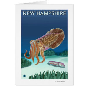 New HampshireCuttlefish Scene