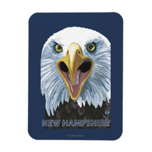 New HampshireEagle Up Close Magnet