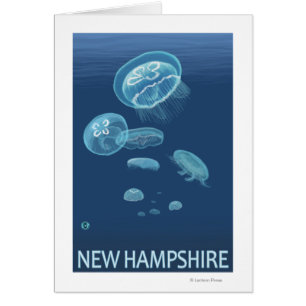 New HampshireJellyfish Scene