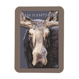 New HampshireMoose Up Close Magnet