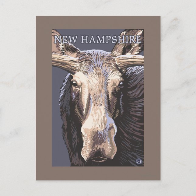 New HampshireMoose Up Close Postcard (Front)