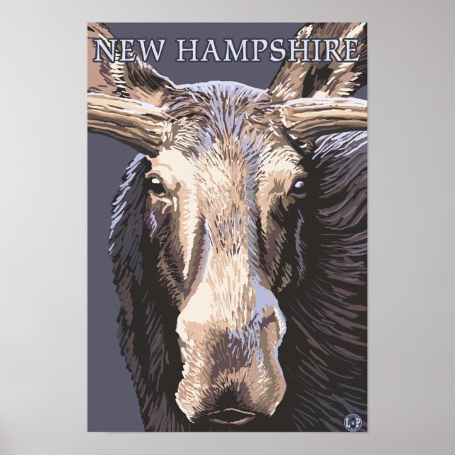 New HampshireMoose Up Close Poster (Front)