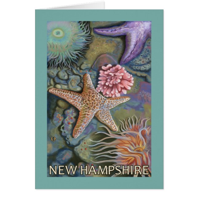 New HampshireTidepool Scene (Front)