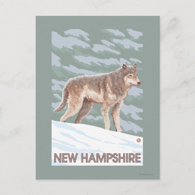 New HampshireWolf Scene Postcard (Front)