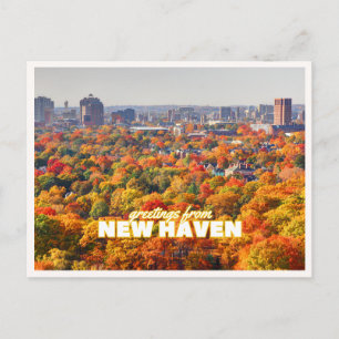 New Haven Connecticut Fall Foliage Greeting Postcard