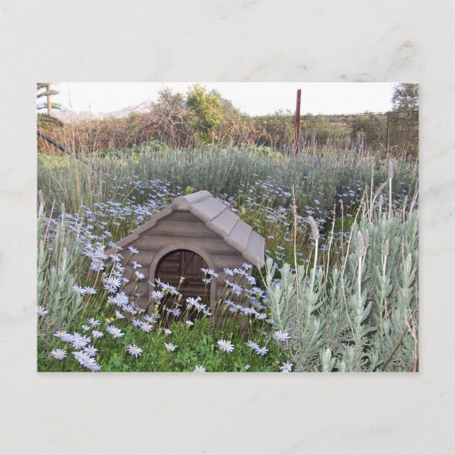 New Home Announcement Postcard (Front)