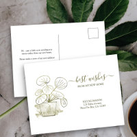 New Home Chinese Money Plant Moving Announcement