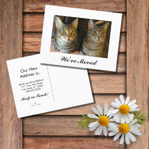 New Home Cute Cats Announcement Postcard