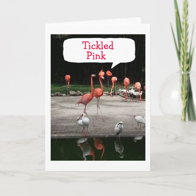 **NEW HOME" FLAMINGOS ARE "TICKLED PINK" CARD (Front)