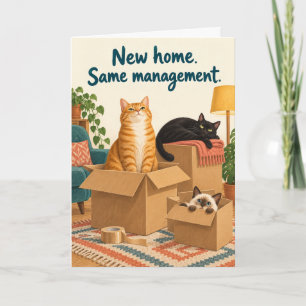 New Home Same Management Funny Cats Card
