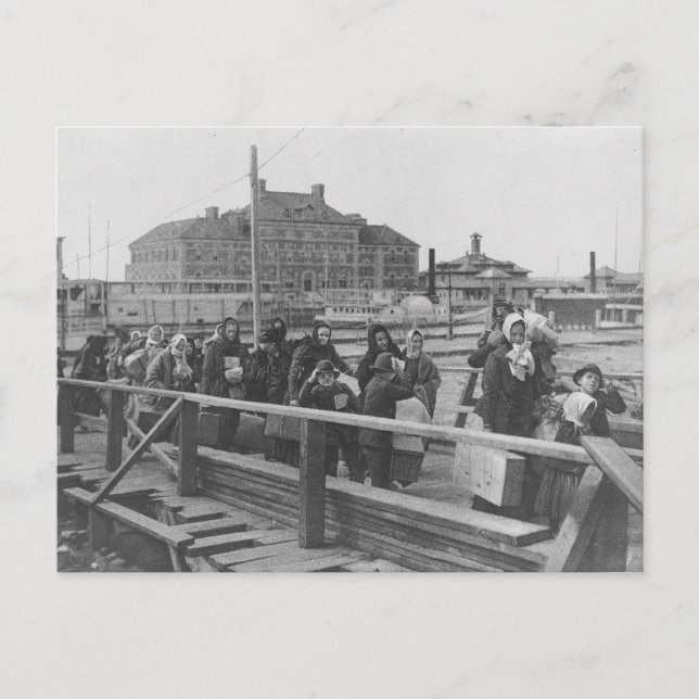 New Immigrants Landing at Ellis Island New York Postcard (Front)