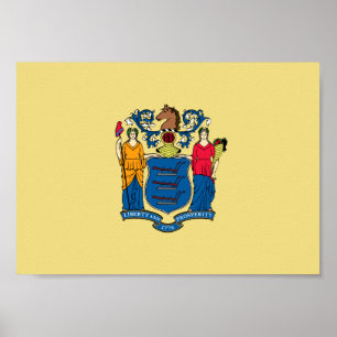 New Jersey Flag Poster