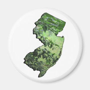 New Jersey Forest State Outline Magnet