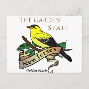 New Jersey Garden State Golden Finch Postcard