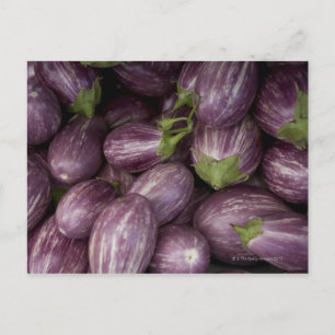 New Jersey grown purple eggplants Postcard