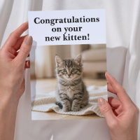 New Kitten Congratulations Sweet Sentimental