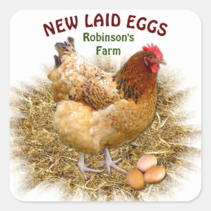 NEW LAID EGGS SQUARE STICKER
