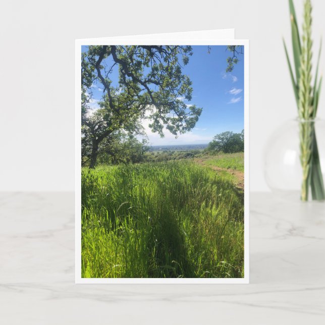 New Life - 1 Card (Front)