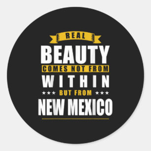 New Mexico - Funny D City Gift  Classic Round Sticker