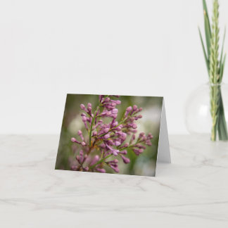 New Mexico Garden Thank You Card