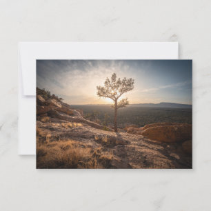 New Mexico Landscape Photo Card