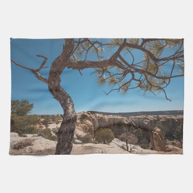 New Mexico Landscape Photo Kitchen Towel (Horizontal)