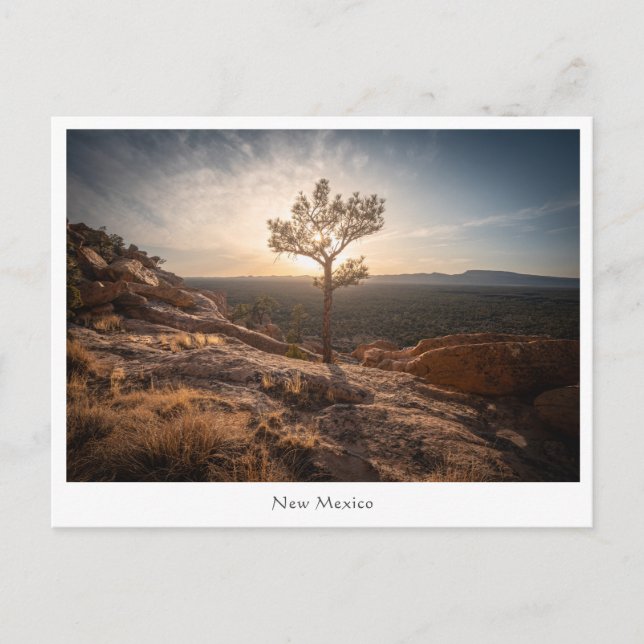 New Mexico Landscape Photo Postcard (Front)