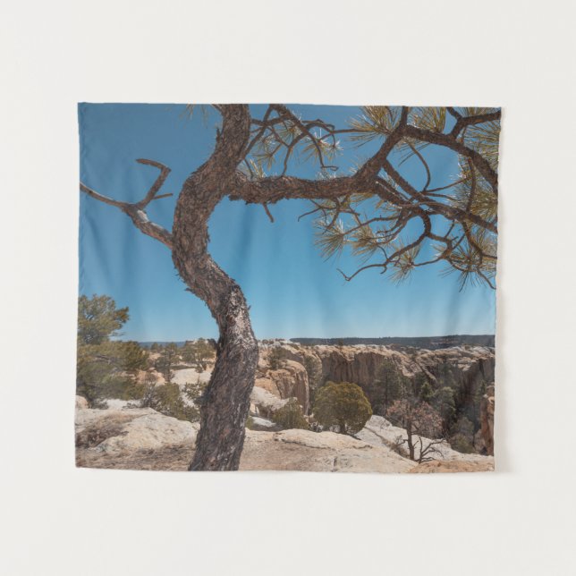 New Mexico Landscape Photo Tapestry (Front (Horizontal))