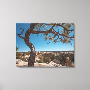 New Mexico Landscape Photograph Canvas Print