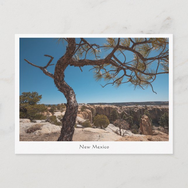 New Mexico Landscape Photograph Postcard (Front)
