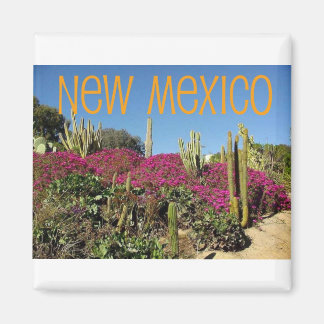 New Mexico Magnet