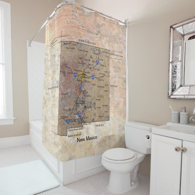 New Mexico Map Petroglyph (In Situ)