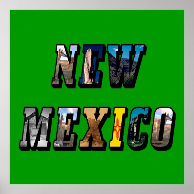 New Mexico Picture Text Poster (Front)