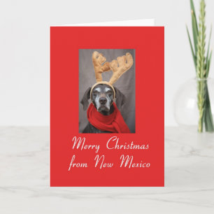 New Mexico reindeer pointer merry x-mas Holiday Card