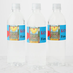 New Mexico Roswell Alien Funny Hot Air Balloon Water Bottle Label
