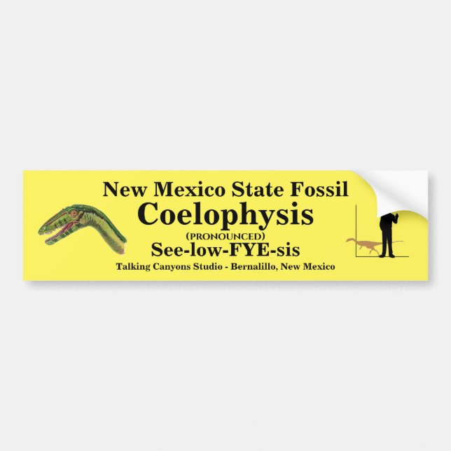 New Mexico State Fossil Bumper Sticker (Front)