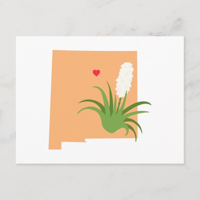 New Mexico State Postcard (Front)