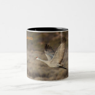 New Mexico Two-Tone Coffee Mug