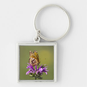 new mexico, united states of america keychain
