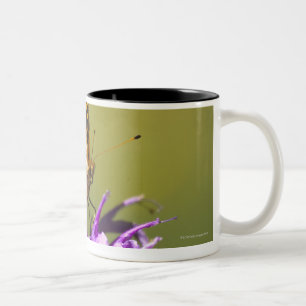 new mexico, united states of america Two-Tone coffee mug