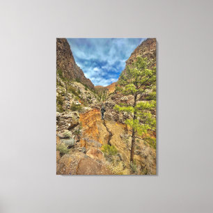 New Mexico Waterfall Canvas Print