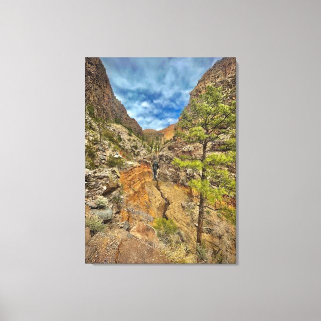 New Mexico Waterfall Canvas Print (Front)
