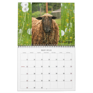 New Moon Farm Goat Rescue & Sanctuary 2016 Calendar