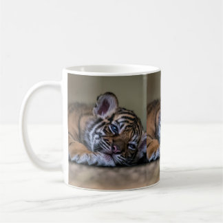 New mug tiger