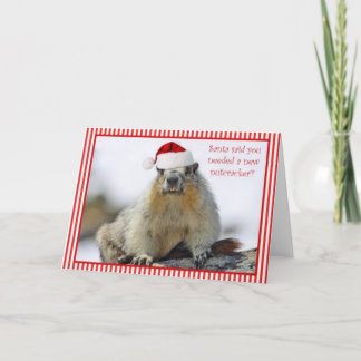 New Nutcracker Christmas Card