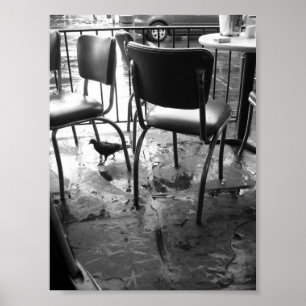 New Orleans after the Rain Poster